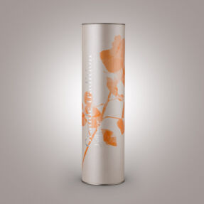 Canister carton - Bouteille Jaillance Canister carton - Bouteille Jaillance